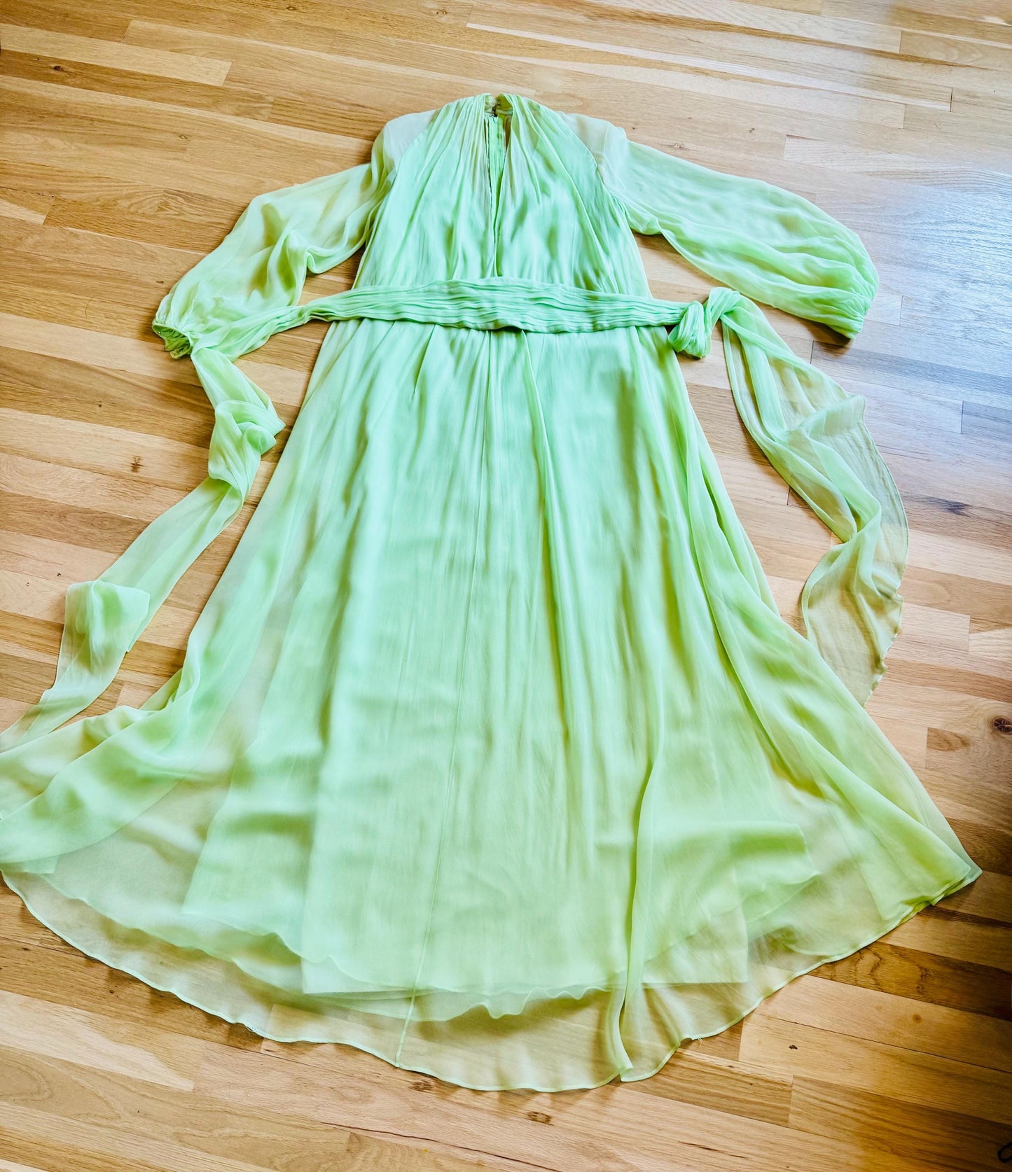 Vintage Bill Tice for Malcolm Starr Lime Green Silk Chiffon Sweeping Gown