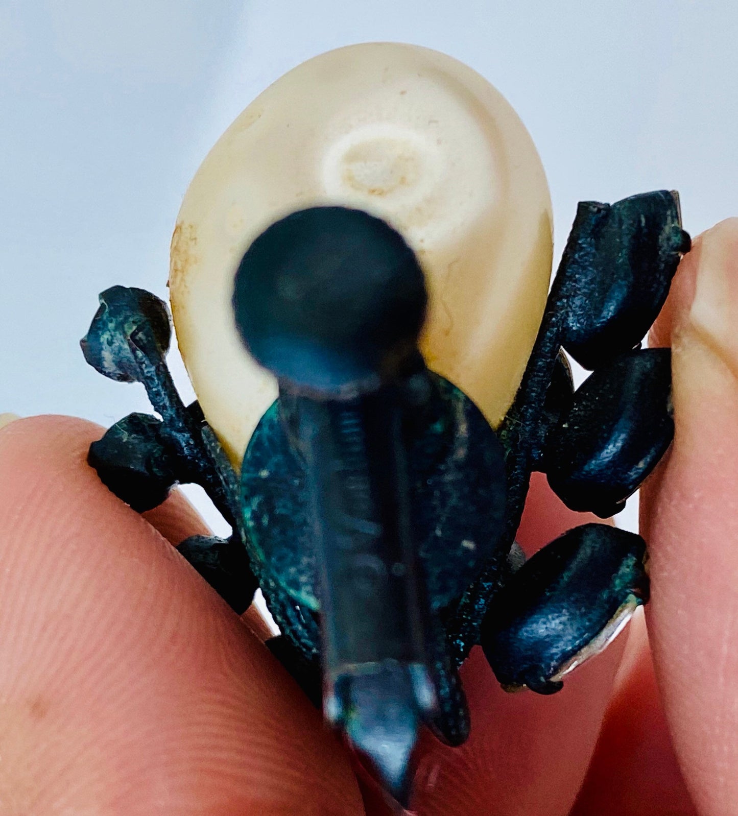 Rare 40s Signed Vendome Coro Pearl and Crystal Rhinestone Hematite Statement Clip on screw backs Earrings